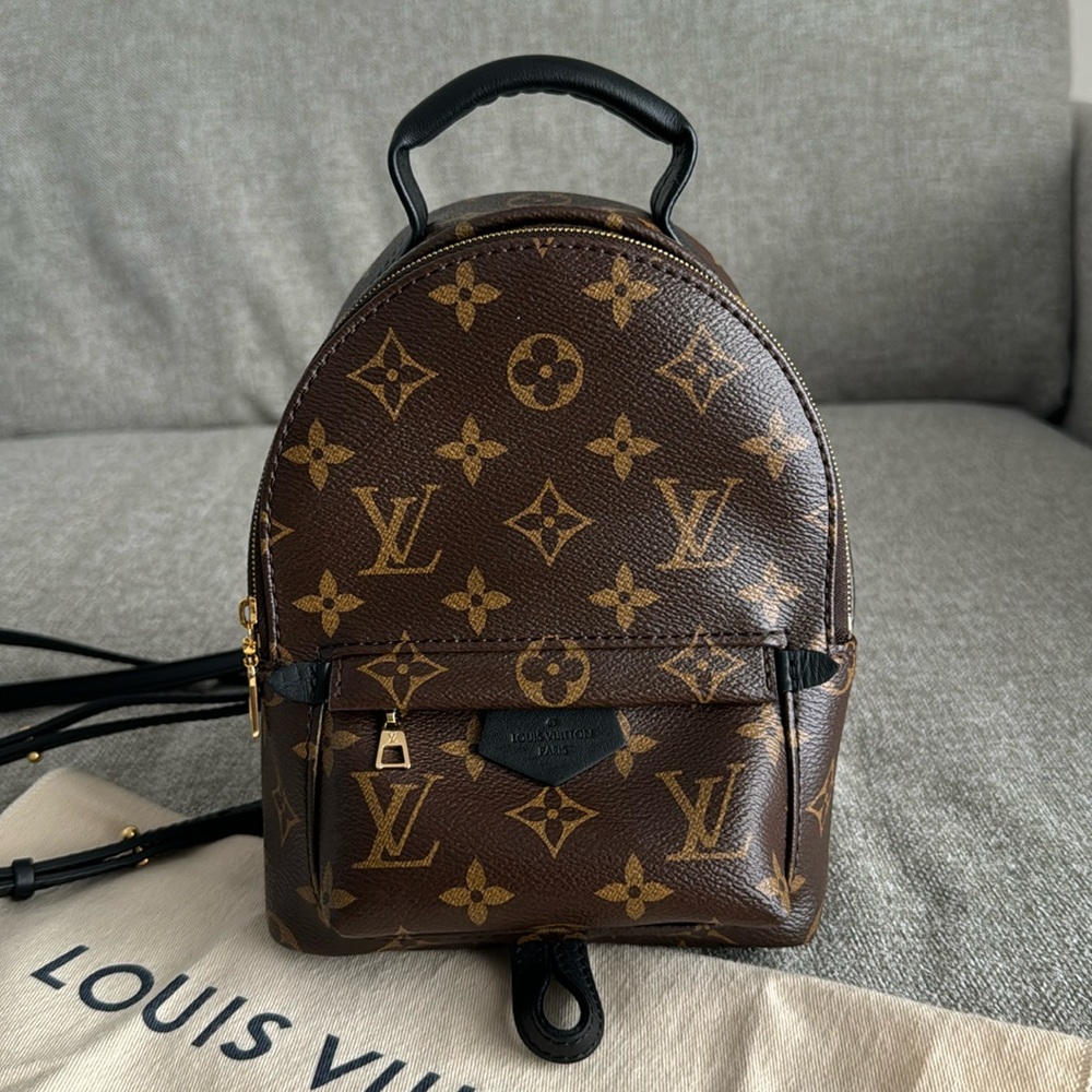 Louis Vuitton Palm Springs Mini Backpack
